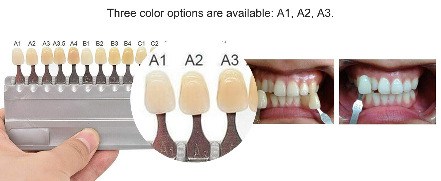 Antinsky Standard Dental Model Resin Modèle Dentaire Couronne